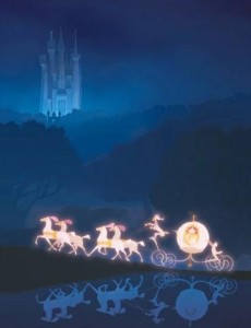 ��Ȯ�����������