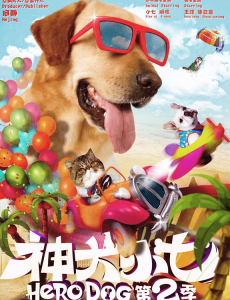 ��Ϊ���������