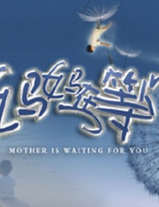 �˾Ų���ʮ�������