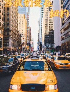 �ɽ���ջ�������