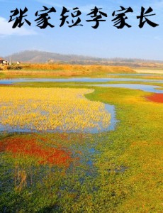 �����߾������