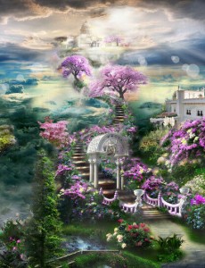 ��ϲ����������