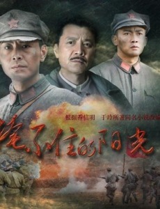 �óǾ������