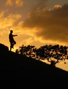 ��Ѫ��ӥ�������