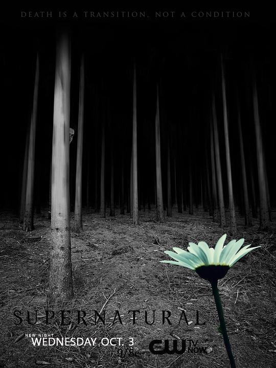 а�������ڰ˼��������