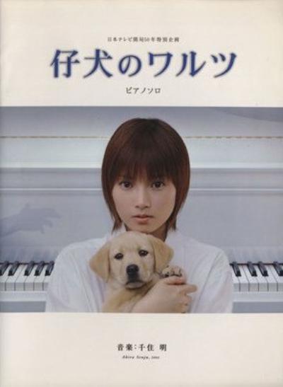 С�������Ⱦ������