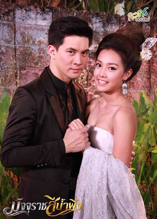 ��ɫ����������