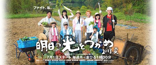 ץס���յĹ�2013�������