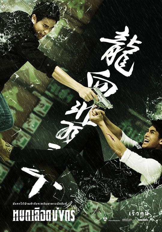 ��Ѫ���������