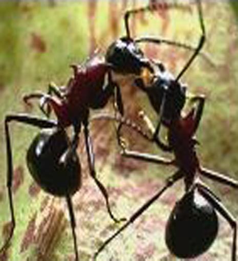 ���������������