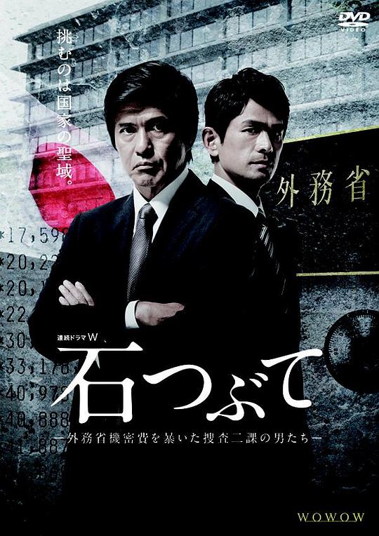 ��ʯ�������