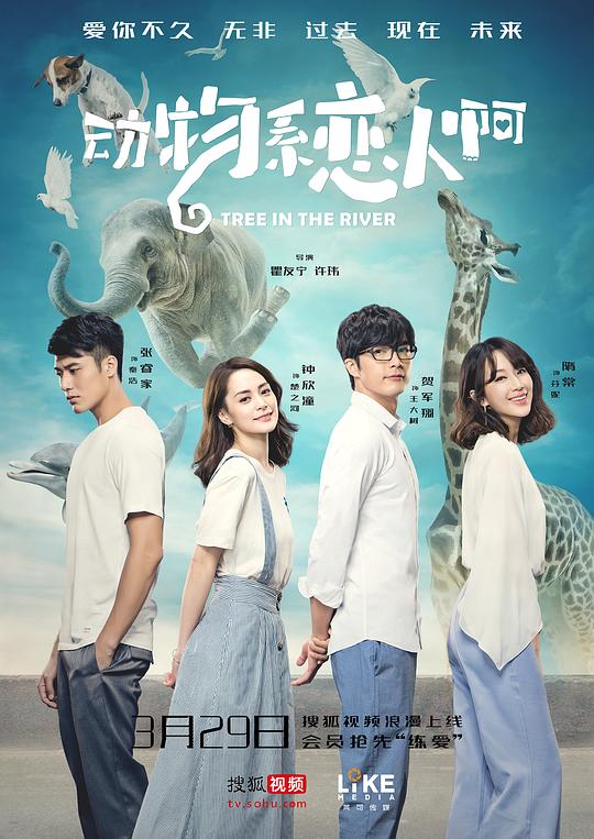 ����ϵ���˰��������