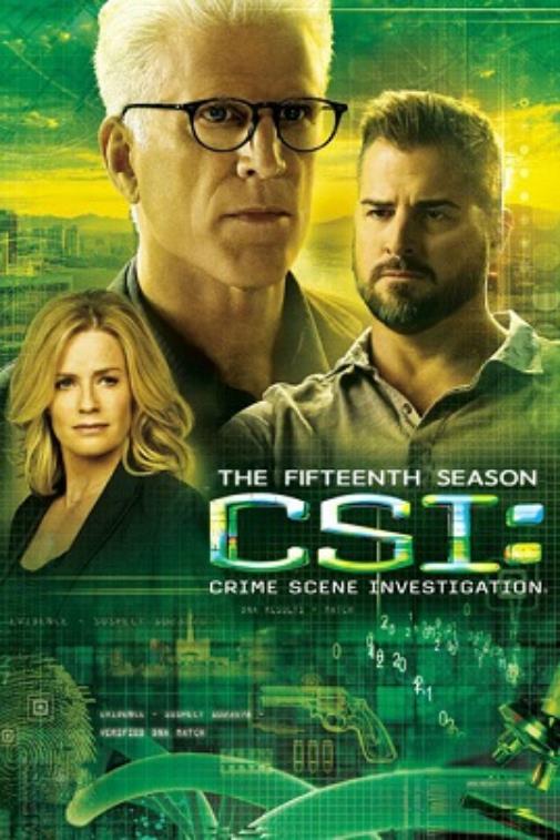 �����ֳ������ʮ�弾�������