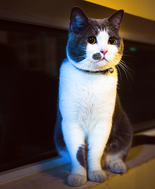 ��������������һ���������