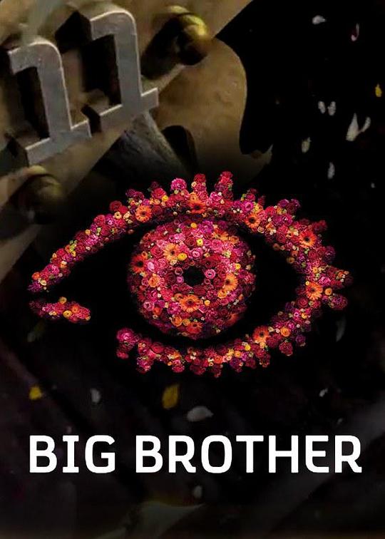 �ϴ�磨Ӣ���棩2010��ʮһ���������