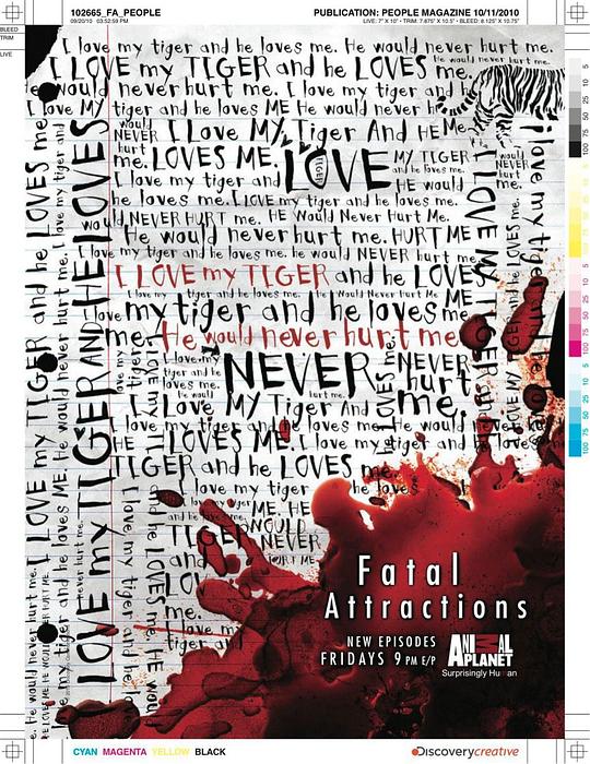 ���������һ���������