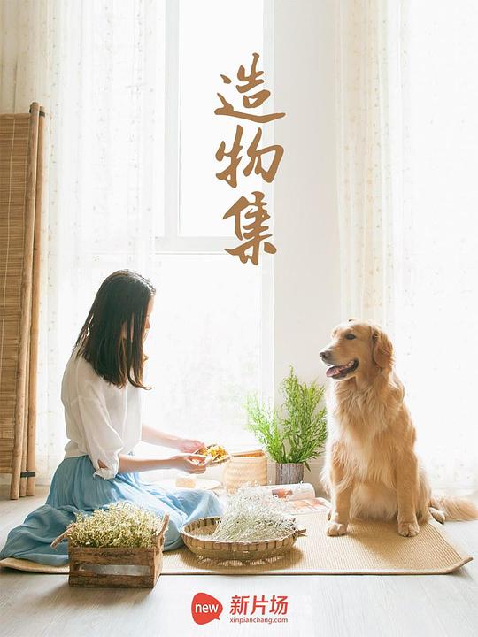 ���Ｏ�������