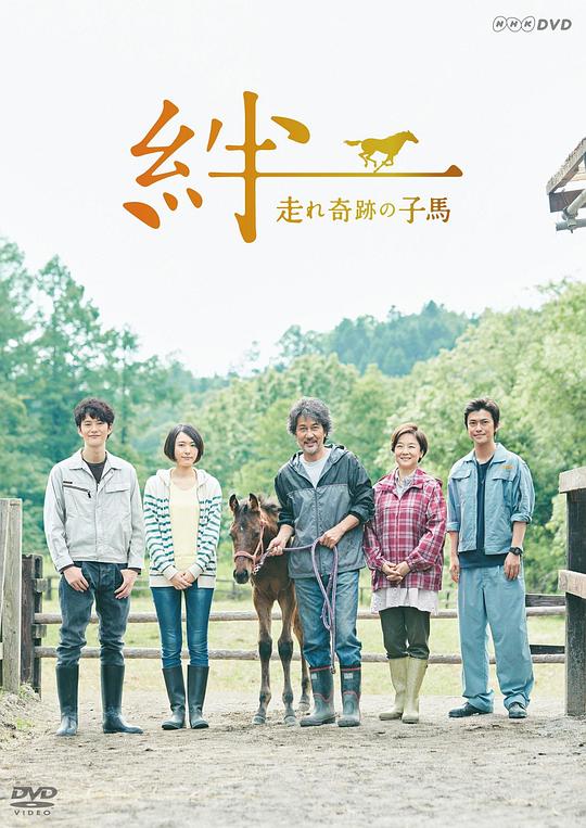 ������ܵ��漣С���������