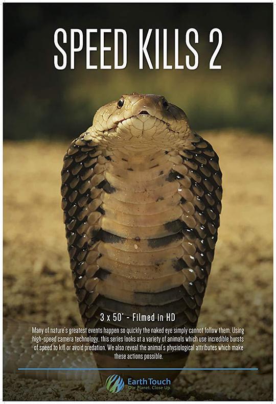 ������ɱ�ڶ����������