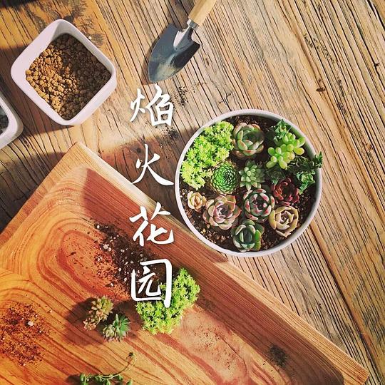 ���԰�������