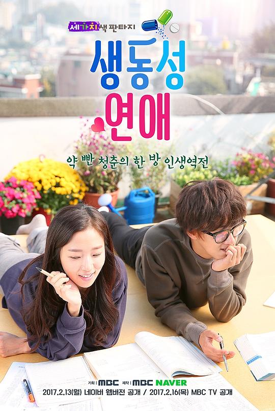 ��ɫ���룺���������������