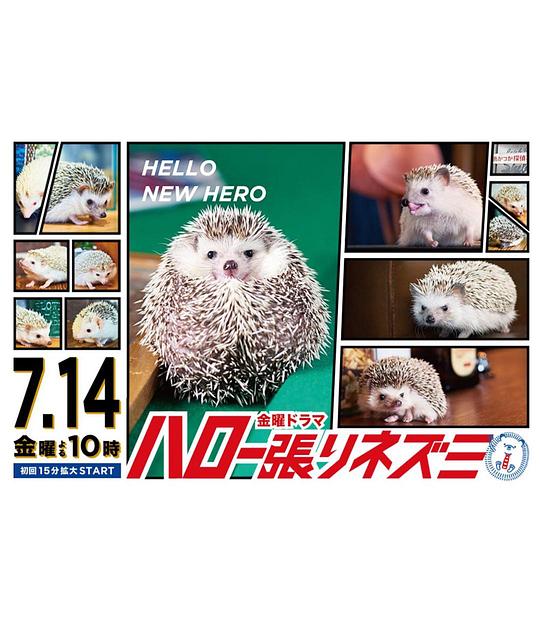 ��̽����������