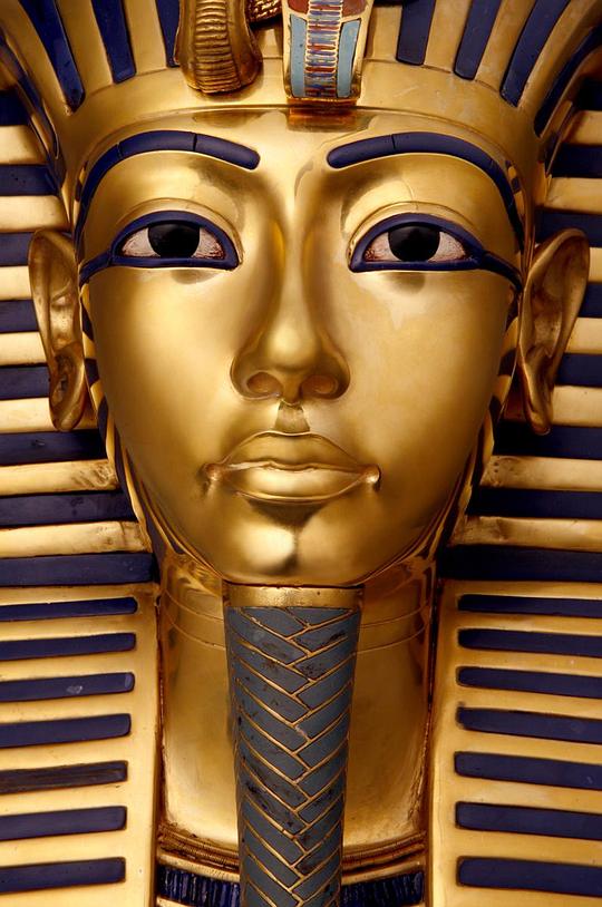 ͼ̹���ɡ���Ĺ�Һͱ��ؾ������