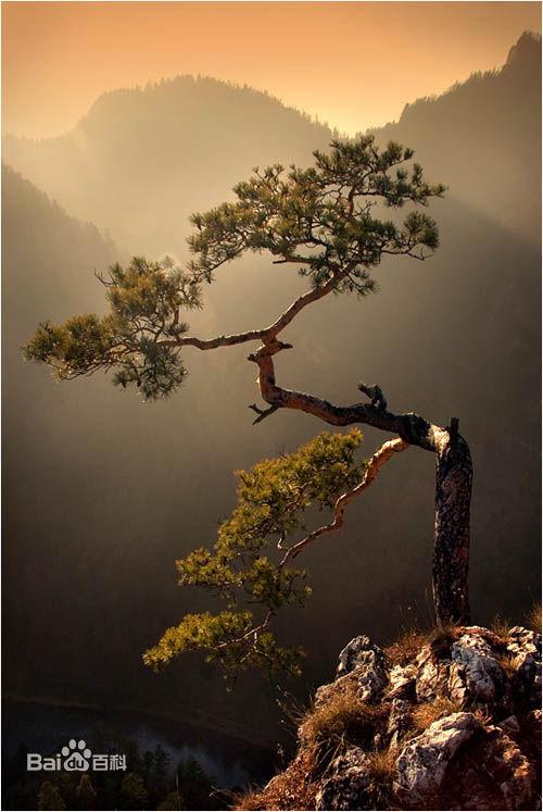 ��������������