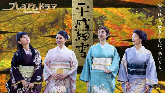 ƽ��ϸѩ�������