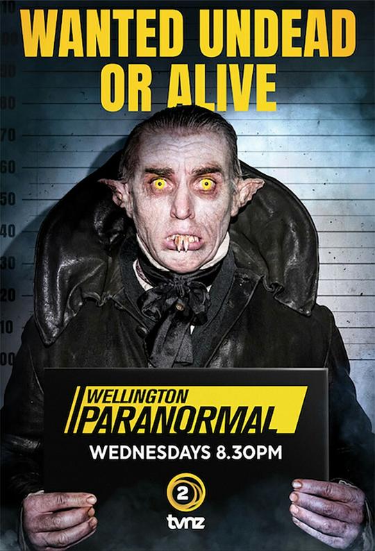 ��������쵵����һ���������