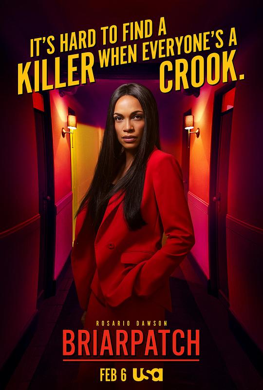 �����Ծ������