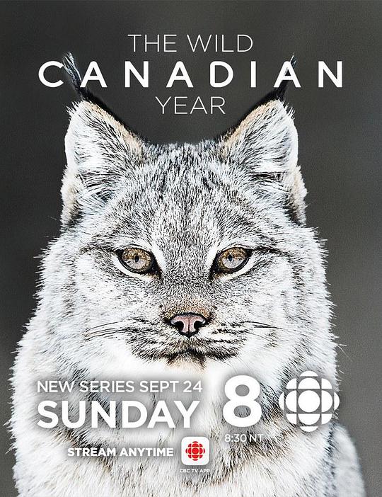 ���ô�Ŀ�Ұ���ֵ�һ���������