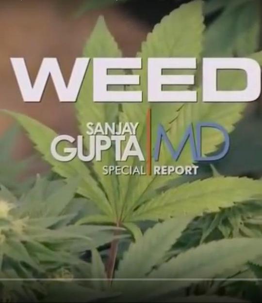 ���飺CNN��¼Ƭ�������