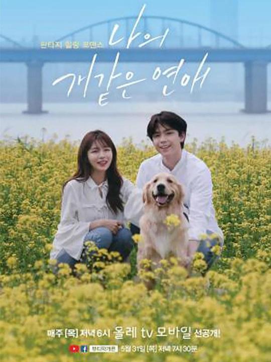 ������һ���İ���������