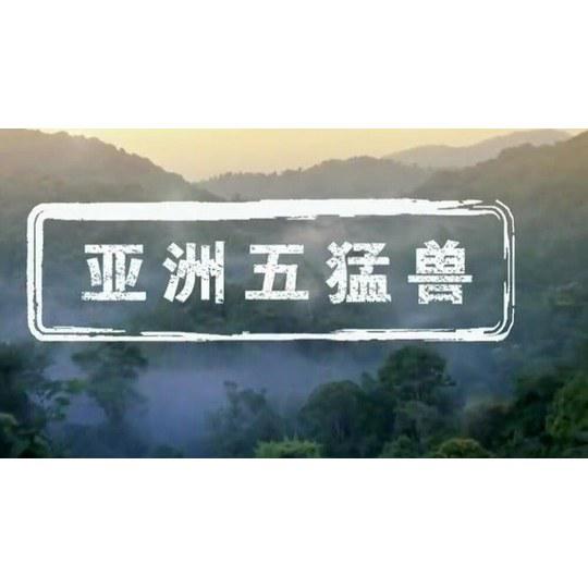 ���������޾������