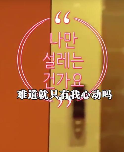 �ѵ���ֻ�����Ķ���������