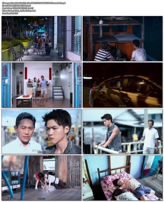 ���ɳ��������