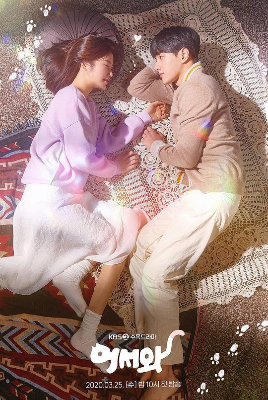 ������˾������