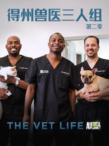 ������ҽ������ڶ����������