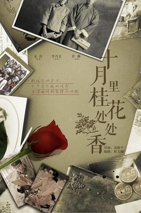 ʮ����𻨴�����������