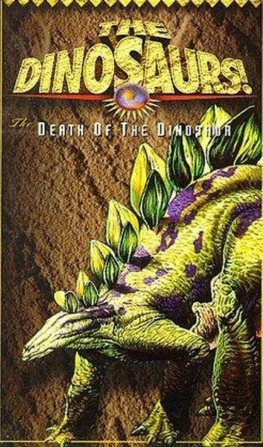 �����Ĺ��¾������