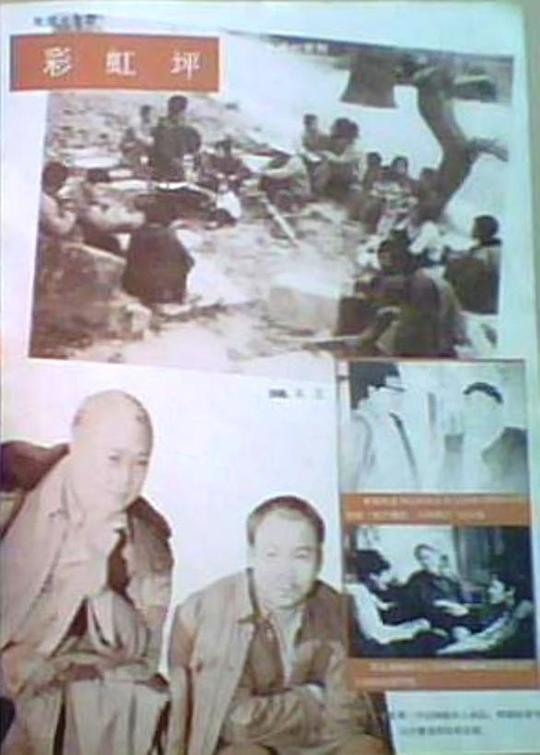 �ʺ�ƺ�������