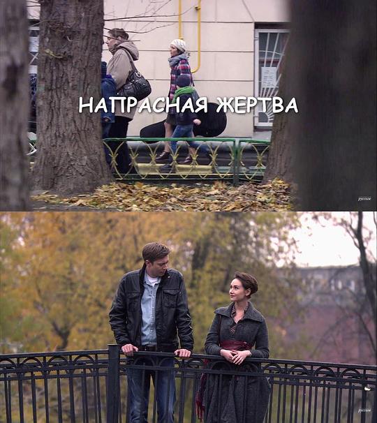 ͽ���޹��������