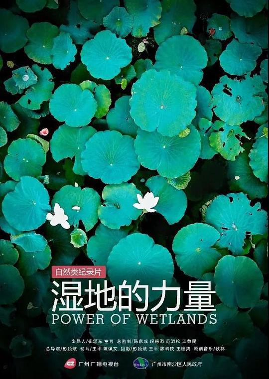 ʪ�ص������������