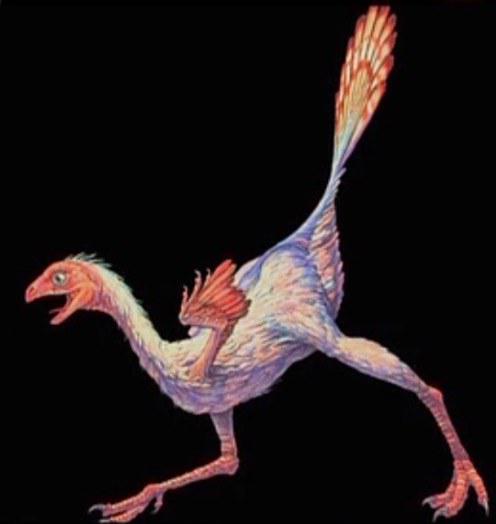 ����ͬ�о������