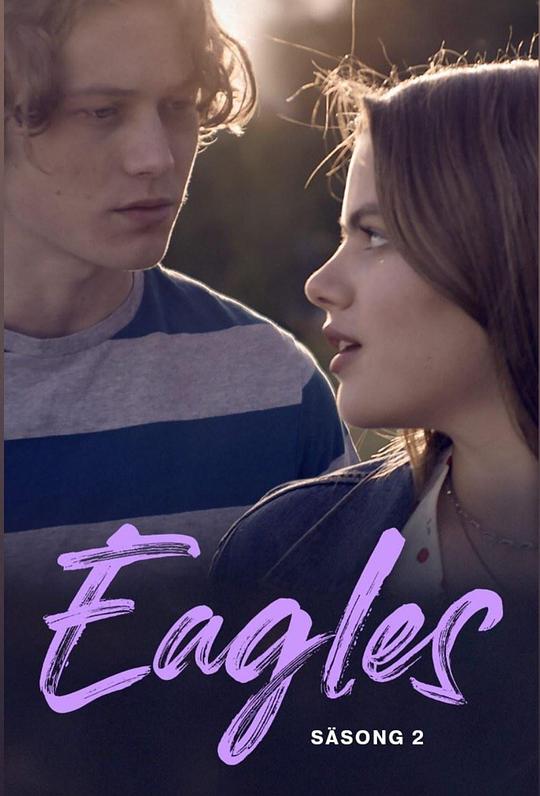 ��ӥ�Ӿ������