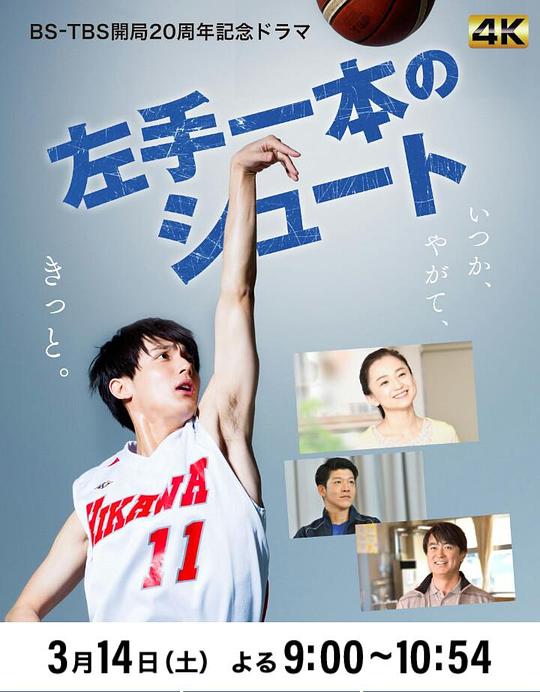 ����Ͷ���������