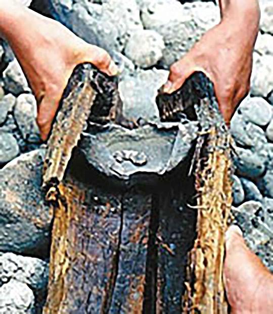 ��������ͼ�������