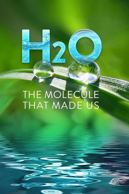 H2O��TheMoleculeThatMadeUs�������