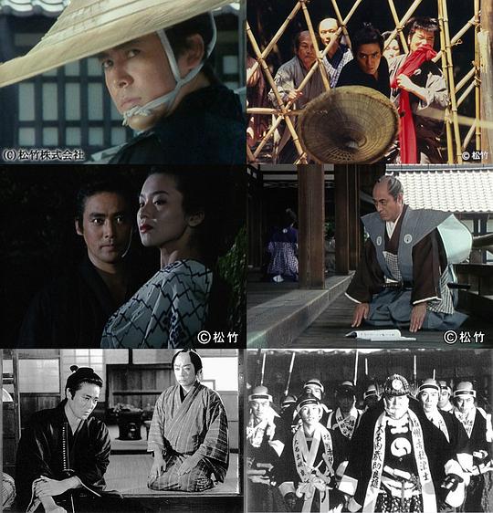 ����ʮ�����������